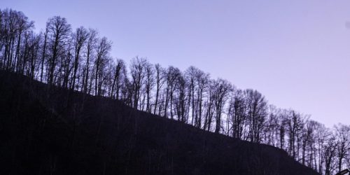 DSC09349