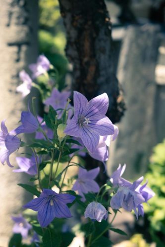 DSCF9847